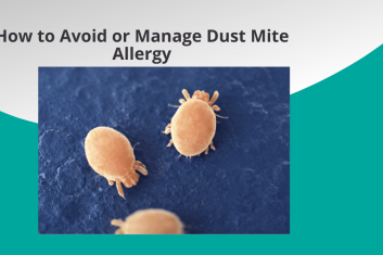 How to Avoid or Manage Dust Mite Allergy 