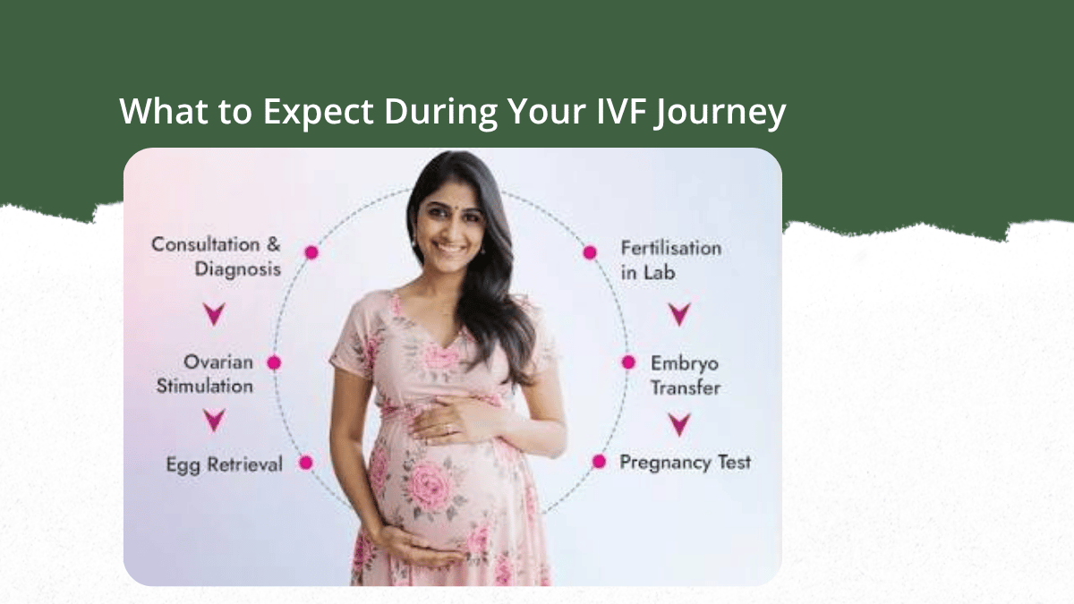 what to expect during ivf journey hyderabad