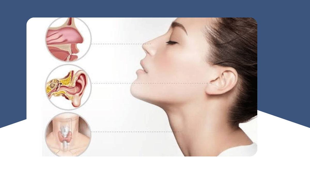 https://d2vvc091k8tmib.cloudfront.net/s3fs-public/2026-09/Ear%2C%20Nose%20and%20Throat%20Diseases.png
