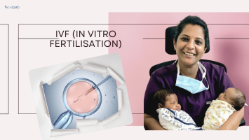IVF (In Vitro Fertilisation)
