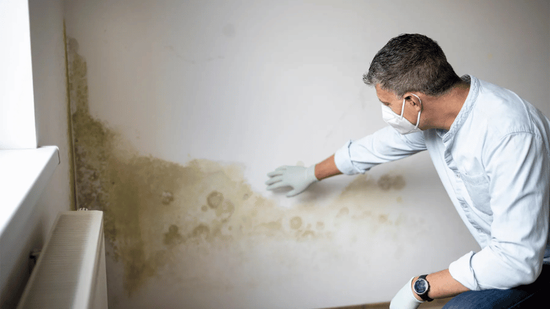 https://d2vvc091k8tmib.cloudfront.net/s3fs-public/2026-10/Mold%20Allergy_%20Can%20Damp%20Walls%20and%20Mold%20Make%20You%20Sick.png