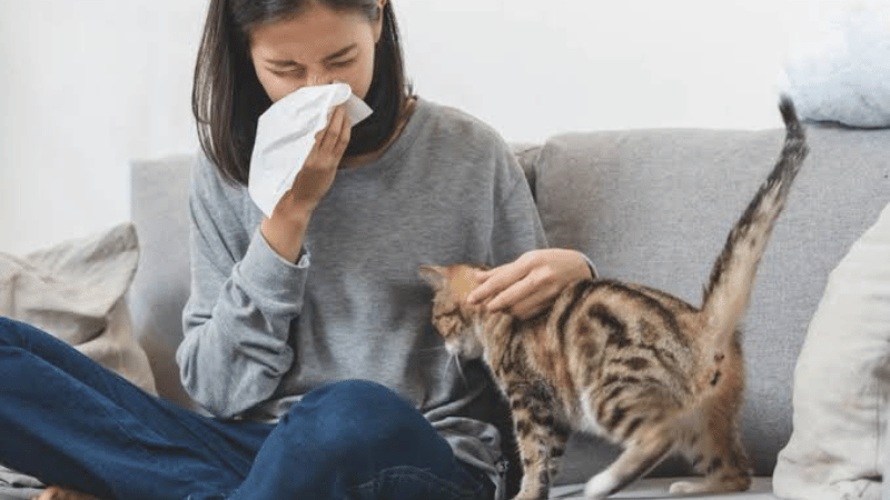 https://d2vvc091k8tmib.cloudfront.net/s3fs-public/2026-10/Pet%20Allergy_%20Is%20It%20the%20Fur%20or%20Something%20Else%20Causing%20Your%20Allergy.png